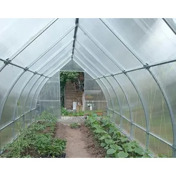 Отзыв от Геннадий Климов, 12.04.2026 о Теплица Стрелецкая Люкс 2.5м 